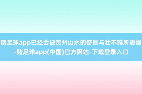 赌足球app已经会被贵州山水的奇景与壮不雅所震慑-赌足球app(中国)官方网站-下载登录入口