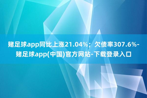 赌足球app同比上涨21.04%;欠债率307.6%-赌足球app(中国)官方网站-下载登录入口