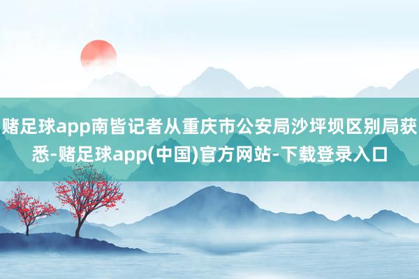 赌足球app南皆记者从重庆市公安局沙坪坝区别局获悉-赌足球app(中国)官方网站-下载登录入口