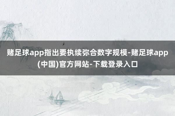 赌足球app指出要执续弥合数字规模-赌足球app(中国)官方网站-下载登录入口