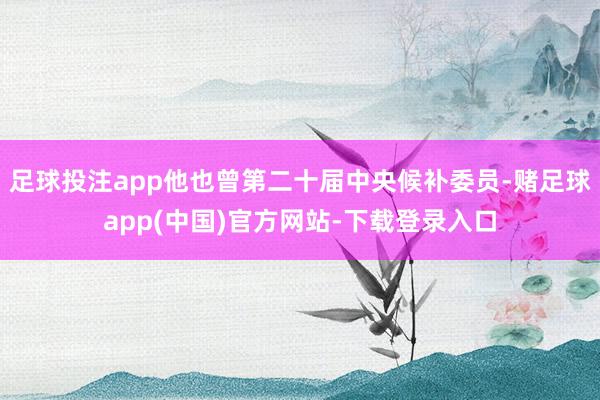 足球投注app他也曾第二十届中央候补委员-赌足球app(中国)官方网站-下载登录入口