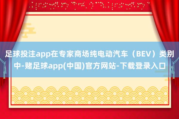 足球投注app在专家商场纯电动汽车（BEV）类别中-赌足球app(中国)官方网站-下载登录入口