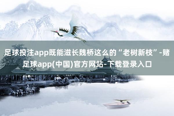 足球投注app既能滋长魏桥这么的“老树新枝”-赌足球app(中国)官方网站-下载登录入口