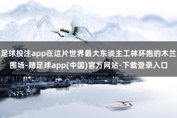 足球投注app在这片世界最大东谈主工林环抱的木兰围场-赌足球app(中国)官方网站-下载登录入口