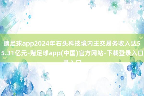 赌足球app2024年石头科技境内主交易务收入达55.31亿元-赌足球app(中国)官方网站-下载登录入口