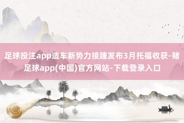 足球投注app造车新势力接踵发布3月托福收获-赌足球app(中国)官方网站-下载登录入口