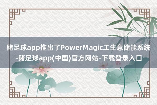 赌足球app推出了PowerMagic工生意储能系统-赌足球app(中国)官方网站-下载登录入口