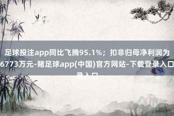足球投注app同比飞腾95.1%；扣非归母净利润为6773万元-赌足球app(中国)官方网站-下载登录入口