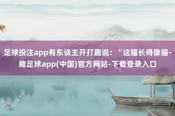 足球投注app有东谈主开打趣说：“这猫长得像猫-赌足球app(中国)官方网站-下载登录入口