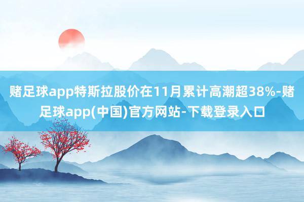 赌足球app特斯拉股价在11月累计高潮超38%-赌足球app(中国)官方网站-下载登录入口