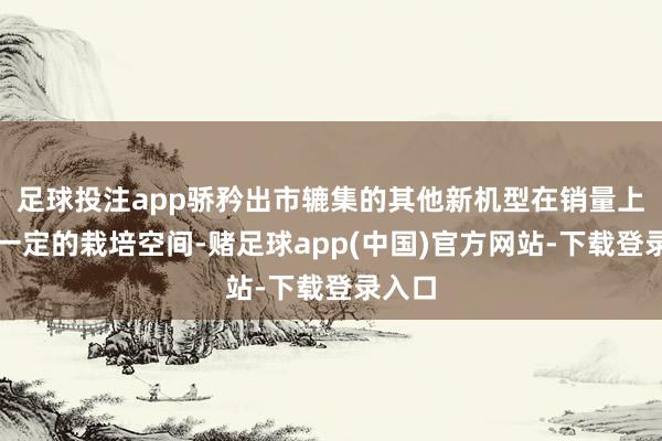 足球投注app骄矜出市辘集的其他新机型在销量上仍有一定的栽培空间-赌足球app(中国)官方网站-下载登录入口