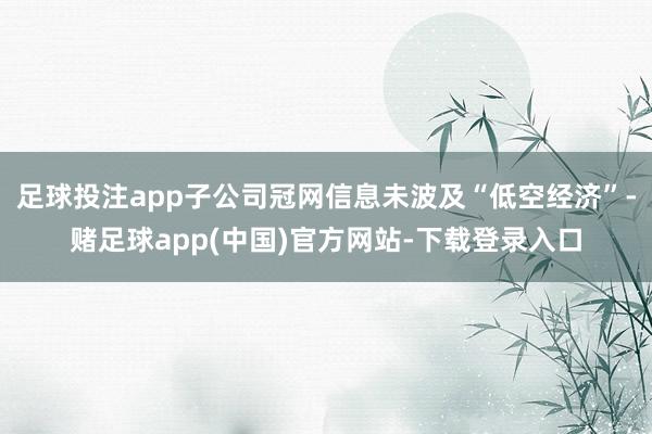 足球投注app子公司冠网信息未波及“低空经济”-赌足球app(中国)官方网站-下载登录入口