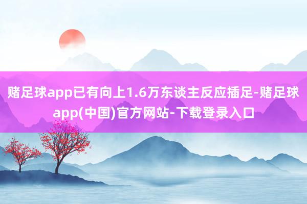 赌足球app已有向上1.6万东谈主反应插足-赌足球app(中国)官方网站-下载登录入口