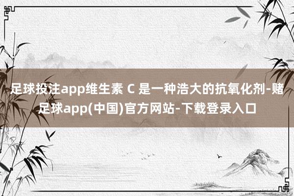 足球投注app维生素 C 是一种浩大的抗氧化剂-赌足球app(中国)官方网站-下载登录入口