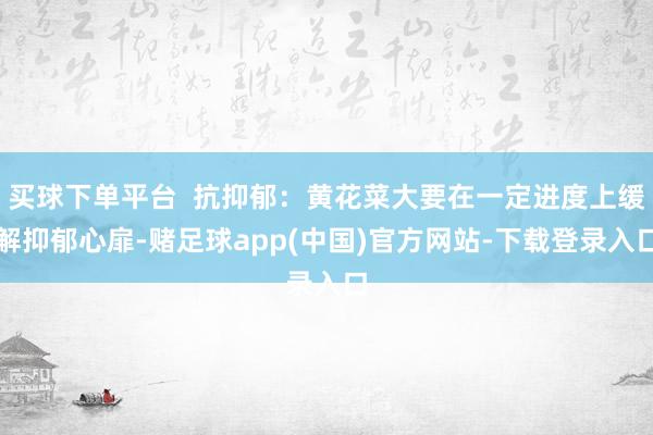 买球下单平台  抗抑郁：黄花菜大要在一定进度上缓解抑郁心扉-赌足球app(中国)官方网站-下载登录入口