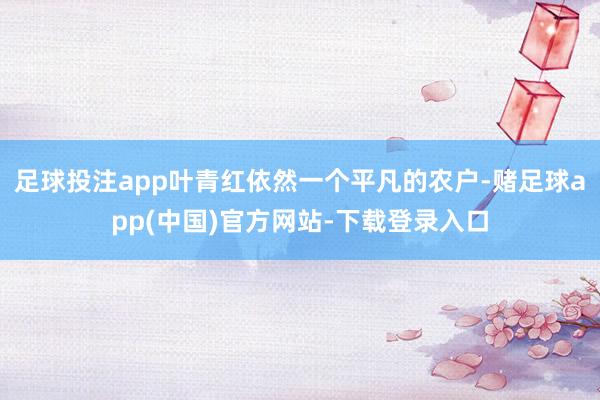 足球投注app叶青红依然一个平凡的农户-赌足球app(中国)官方网站-下载登录入口
