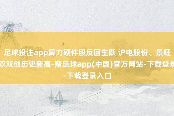 足球投注app算力硬件股反回生跃 沪电股份、景旺电子双双创历史新高-赌足球app(中国)官方网站-下载登录入口