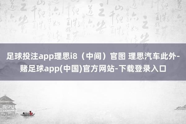 足球投注app理思i8（中间）官图 理思汽车此外-赌足球app(中国)官方网站-下载登录入口