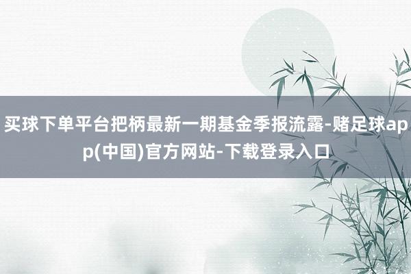 买球下单平台把柄最新一期基金季报流露-赌足球app(中国)官方网站-下载登录入口