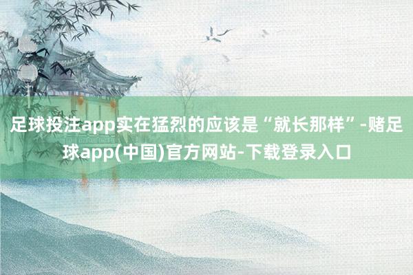 足球投注app实在猛烈的应该是“就长那样”-赌足球app(中国)官方网站-下载登录入口