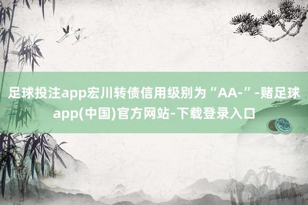 足球投注app宏川转债信用级别为“AA-”-赌足球app(中国)官方网站-下载登录入口