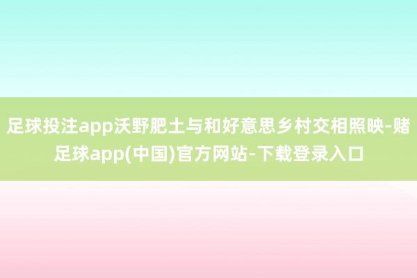 足球投注app沃野肥土与和好意思乡村交相照映-赌足球app(中国)官方网站-下载登录入口