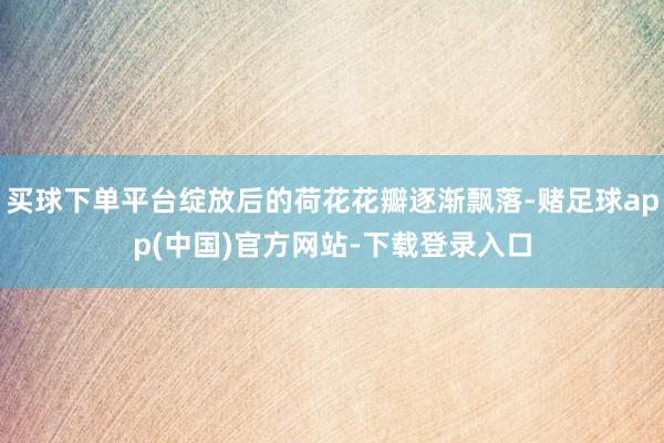 买球下单平台绽放后的荷花花瓣逐渐飘落-赌足球app(中国)官方网站-下载登录入口