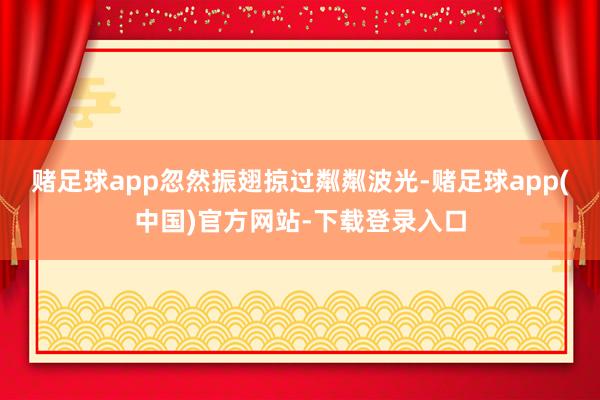 赌足球app忽然振翅掠过粼粼波光-赌足球app(中国)官方网站-下载登录入口