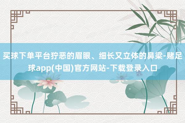 买球下单平台狞恶的眉眼、细长又立体的鼻梁-赌足球app(中国)官方网站-下载登录入口