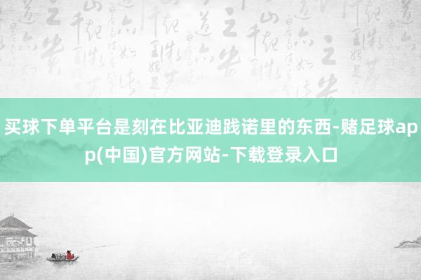买球下单平台是刻在比亚迪践诺里的东西-赌足球app(中国)官方网站-下载登录入口
