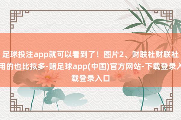 足球投注app就可以看到了！图片2、财联社财联社我用的也比拟多-赌足球app(中国)官方网站-下载登录入口