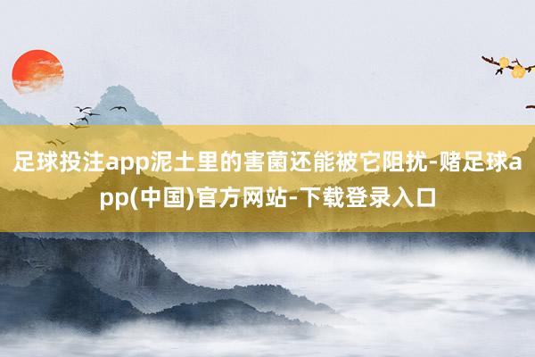 足球投注app泥土里的害菌还能被它阻扰-赌足球app(中国)官方网站-下载登录入口