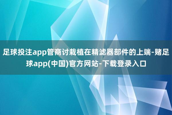 足球投注app管商讨栽植在精滤器部件的上端-赌足球app(中国)官方网站-下载登录入口