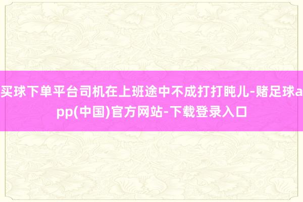 买球下单平台司机在上班途中不成打打盹儿-赌足球app(中国)官方网站-下载登录入口