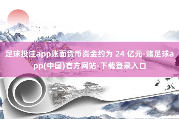 足球投注app账面货币资金约为 24 亿元-赌足球app(中国)官方网站-下载登录入口