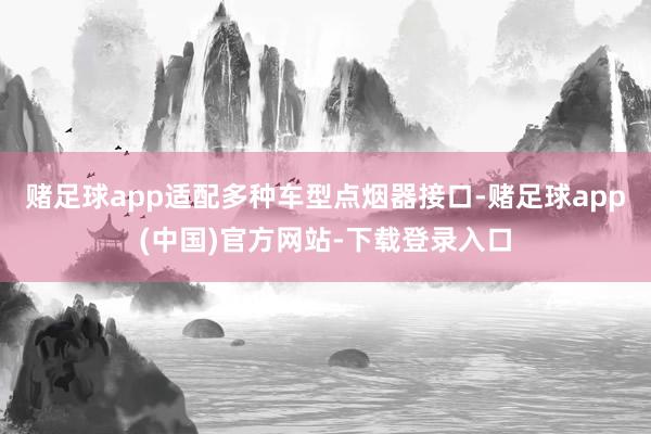 赌足球app适配多种车型点烟器接口-赌足球app(中国)官方网站-下载登录入口