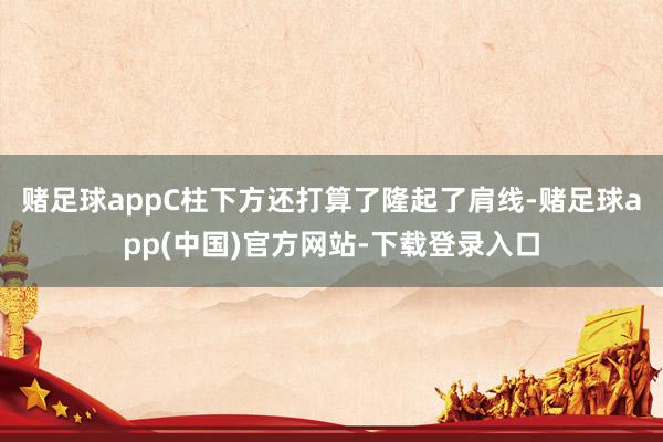 赌足球appC柱下方还打算了隆起了肩线-赌足球app(中国)官方网站-下载登录入口