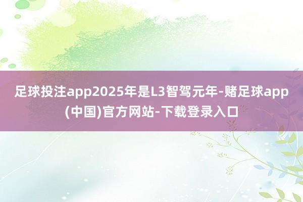 足球投注app2025年是L3智驾元年-赌足球app(中国)官方网站-下载登录入口
