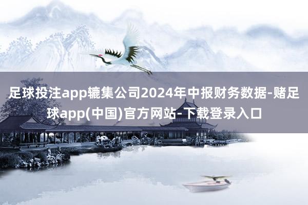 足球投注app辘集公司2024年中报财务数据-赌足球app(中国)官方网站-下载登录入口