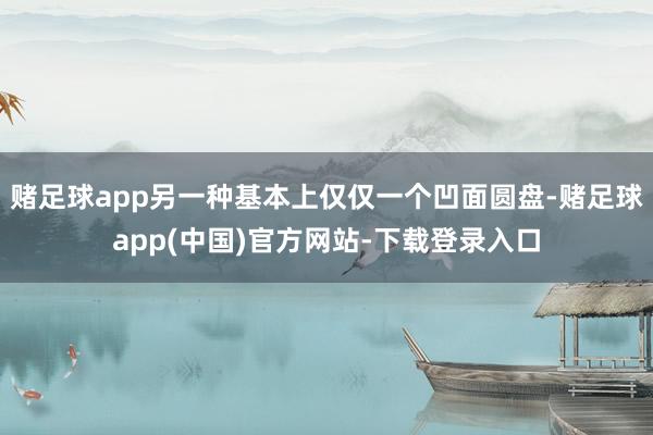 赌足球app另一种基本上仅仅一个凹面圆盘-赌足球app(中国)官方网站-下载登录入口