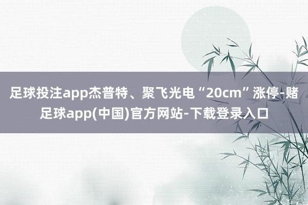 足球投注app杰普特、聚飞光电“20cm”涨停-赌足球app(中国)官方网站-下载登录入口